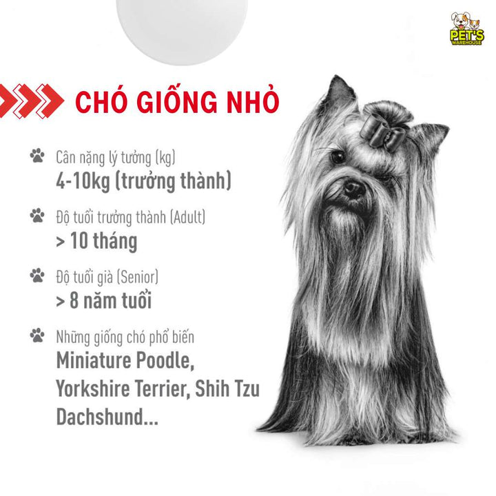 [800G-2KG] Hạt Royal Canin Chó Mini Adult