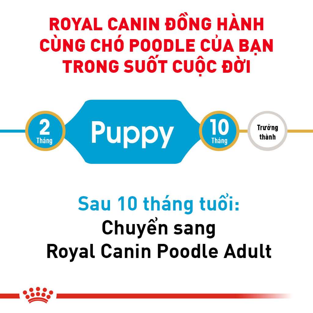[500G-1.5KG] Royal Canin Poodle