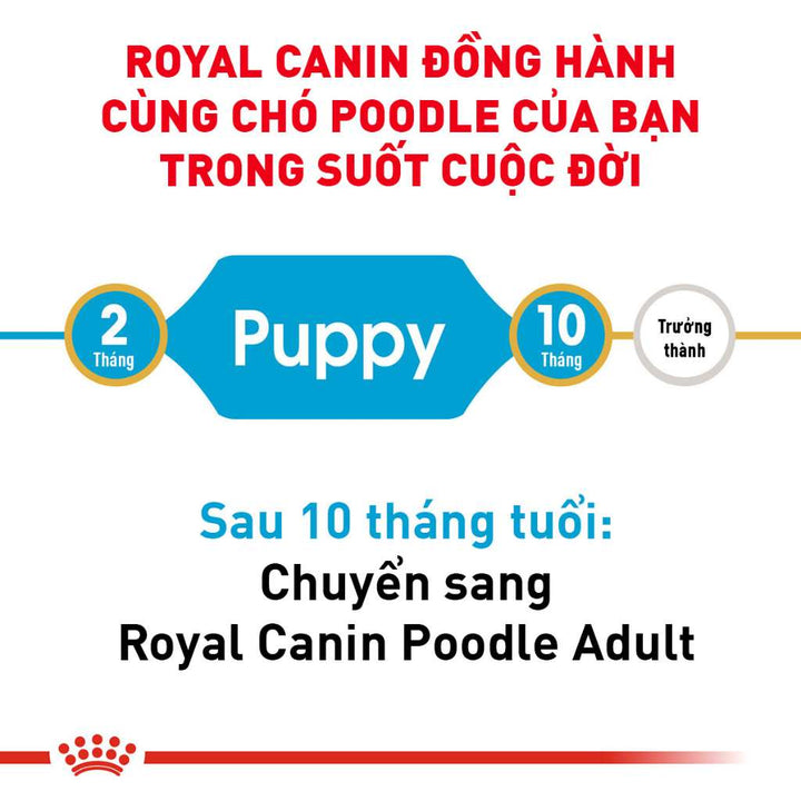 [500G-1.5KG] Royal Canin Poodle