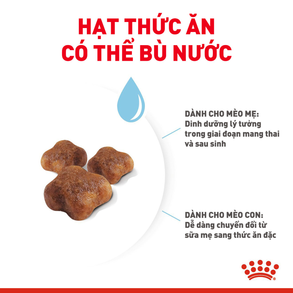 [400G - 2KG] Royal Canin Mother & Baby Cat