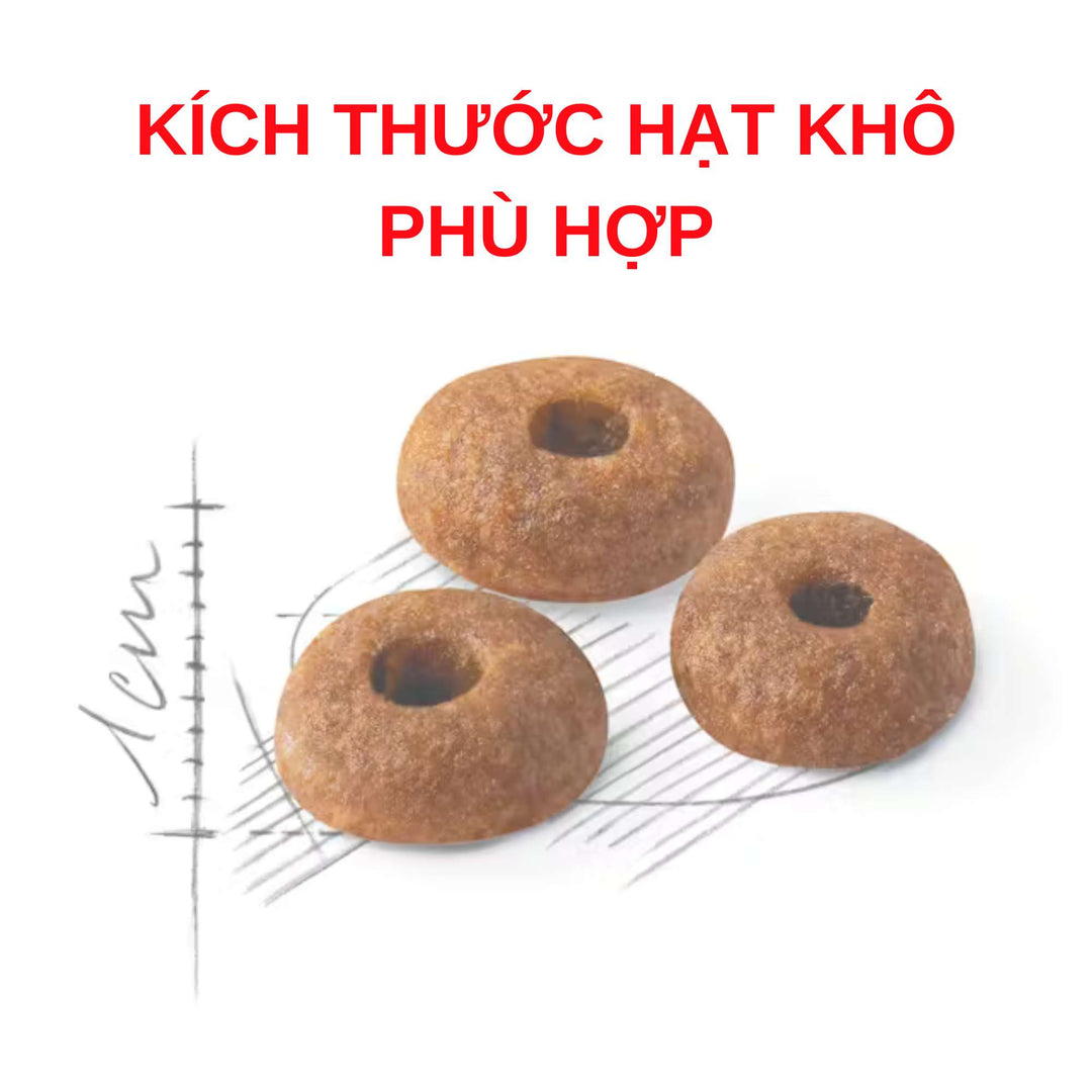 [400G - 2KG] Hạt Royal Canin Mèo Fit 32