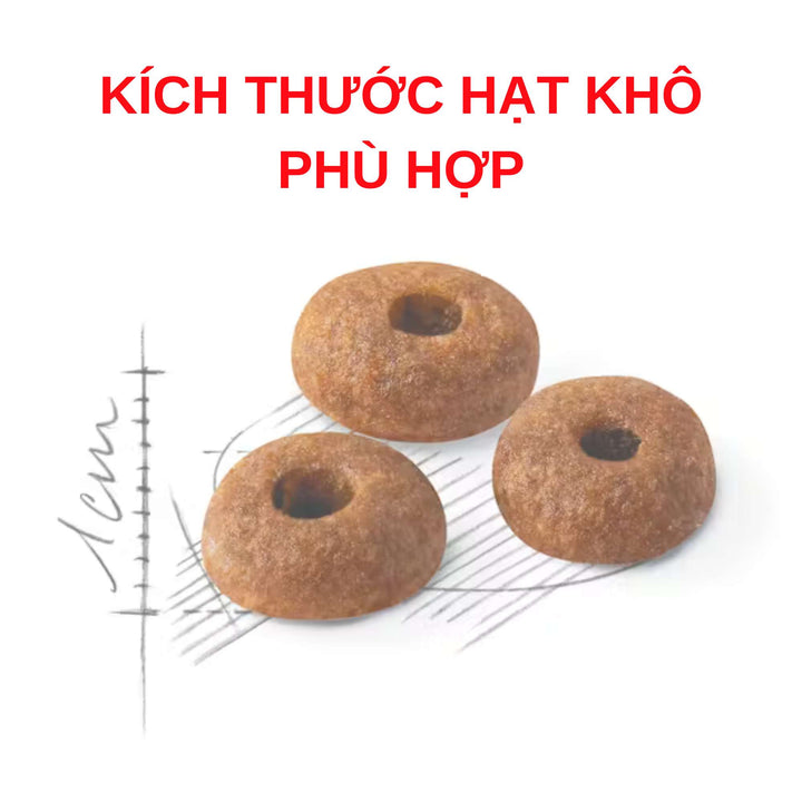 [400G - 2KG] Hạt Royal Canin Mèo Fit 32