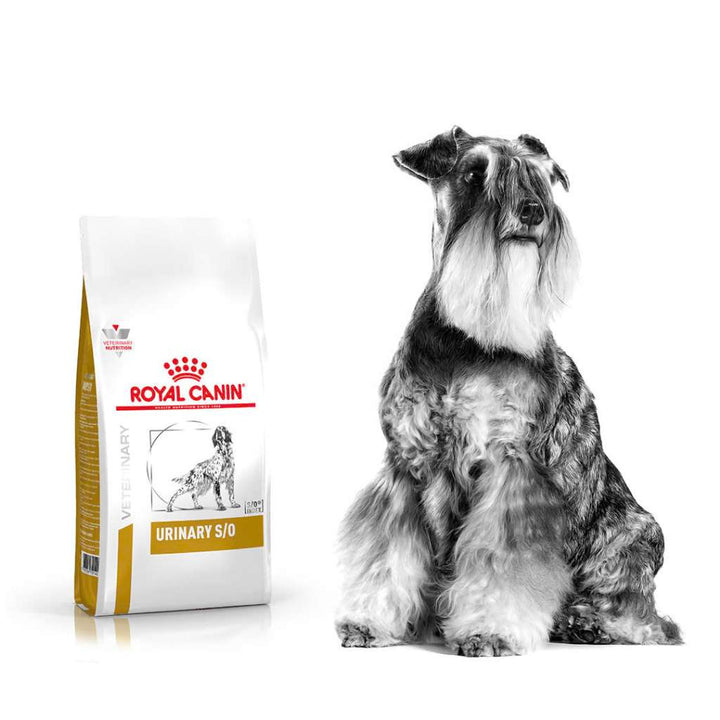[2KG] Hạt Royal Canin Chó Urinary S/O