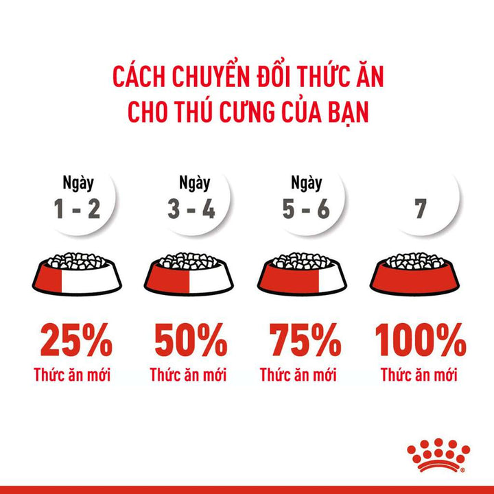 [400G - 2KG] Royal Canin Kitten