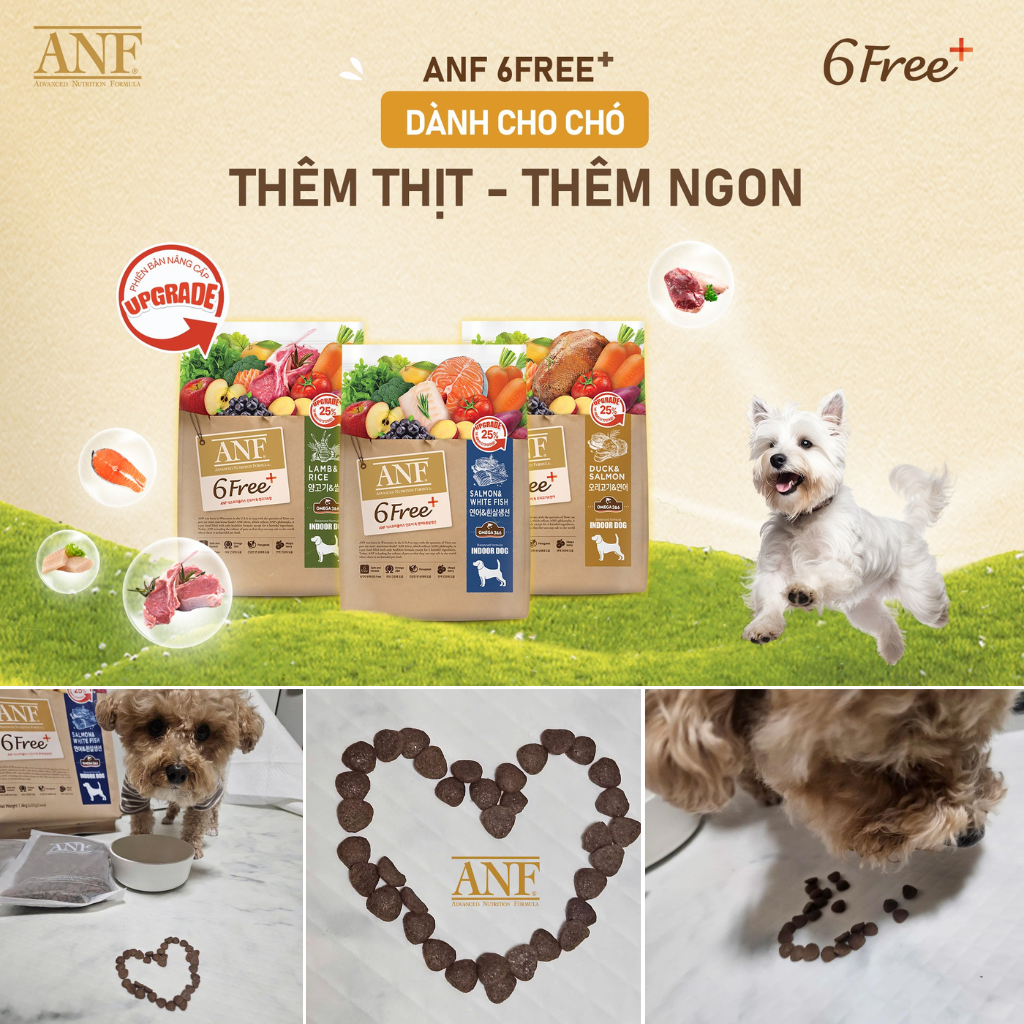 [1.6KG - 5.6KG] Hạt Anf 6Free+ Cao Cấp Chó Mọi Lứa Tuổi