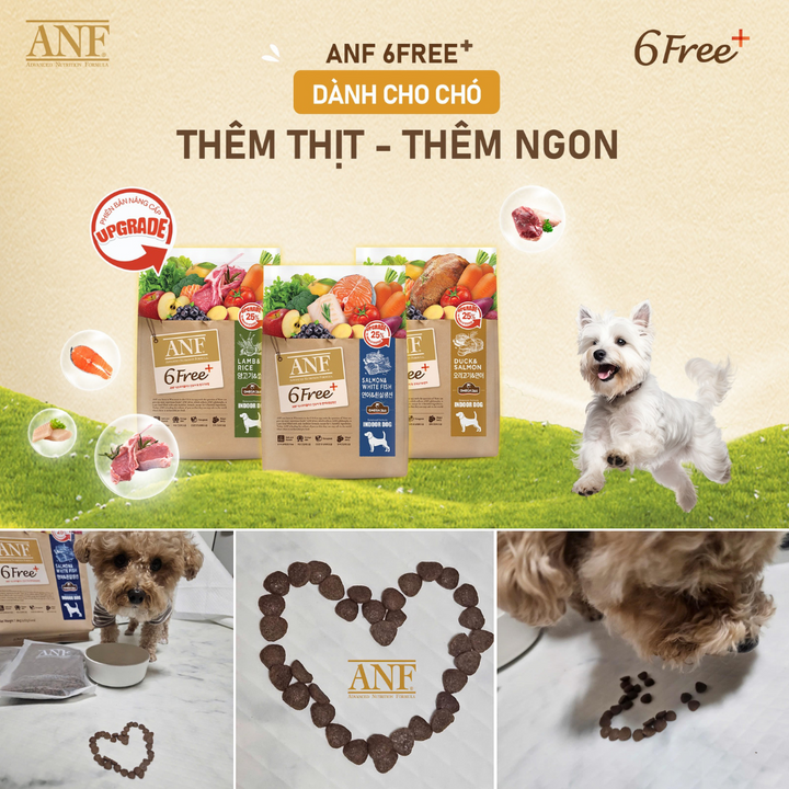 [1.6KG - 5.6KG] Hạt Anf 6Free+ Cao Cấp Chó Mọi Lứa Tuổi