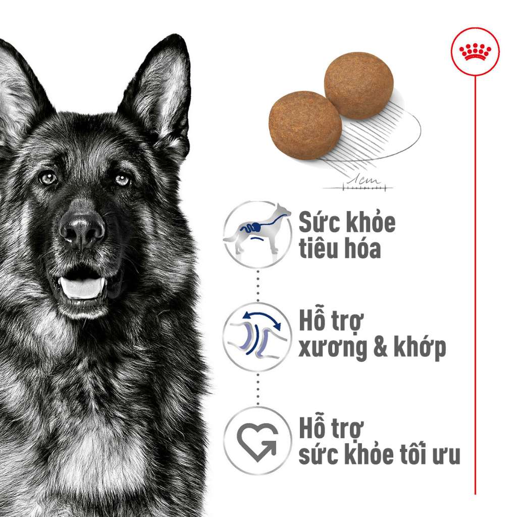 [1KG-4KG] Hạt Royal Canin Maxi Chó