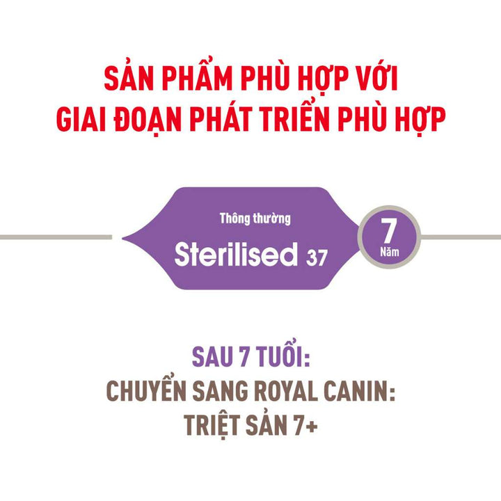 [400G-2KG] Hạt Royal Canin Mèo Sterilised