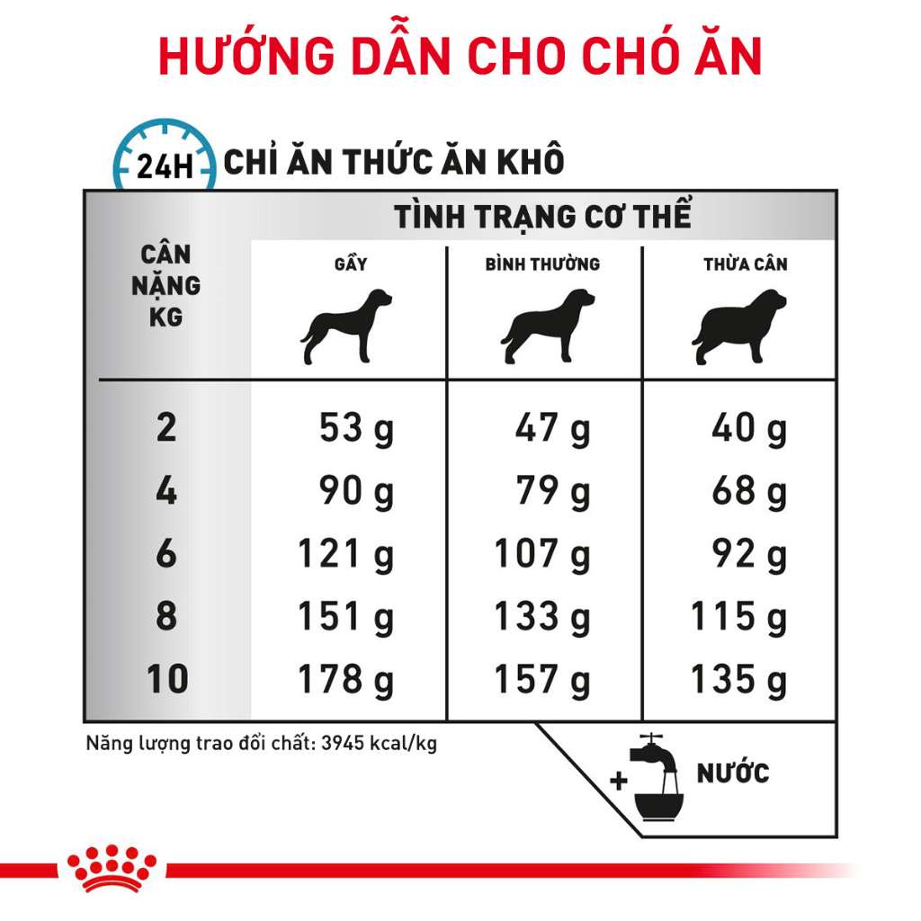 [2KG] Hạt Royal Canin Chó Skin Care | Pet's Warehouse