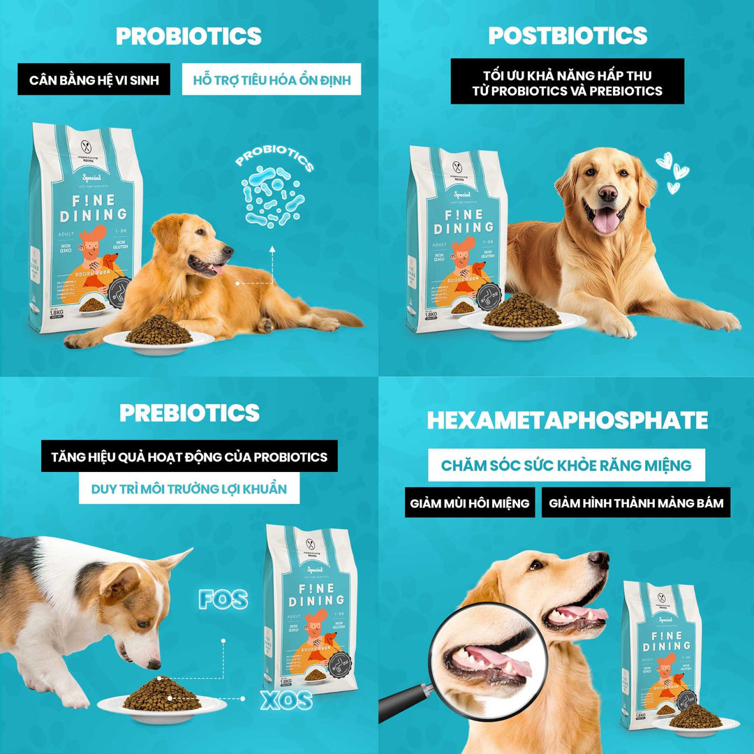 hat-cho-Fine-Dining-pets-warehouse