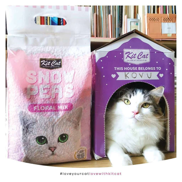 [7L] Cát Đậu Tuyết Snow Peas Kit Cat Mèo