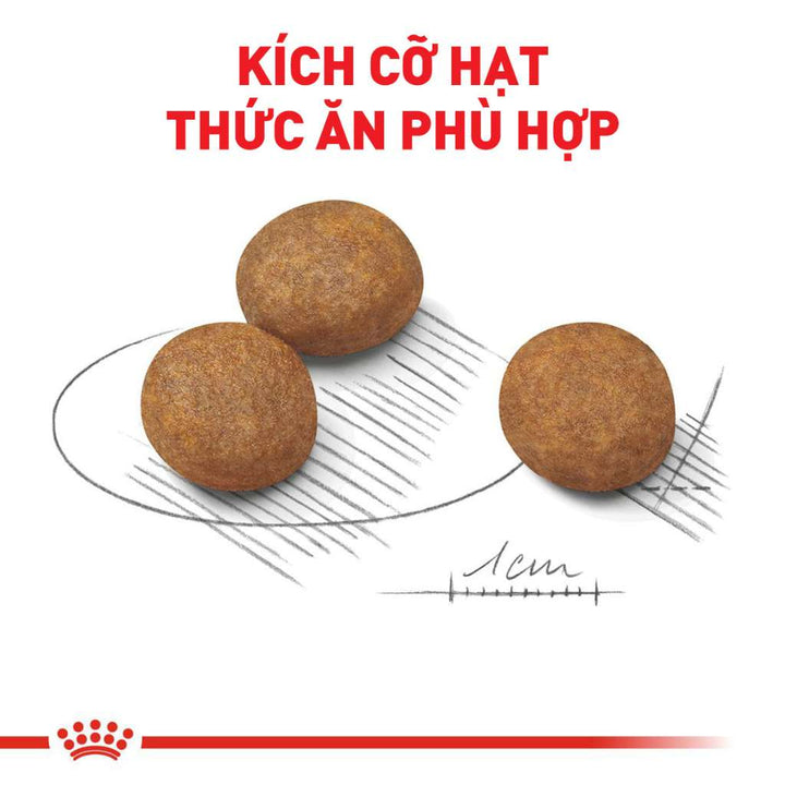 [1KG-4KG] Hạt Royal Canin Maxi Chó