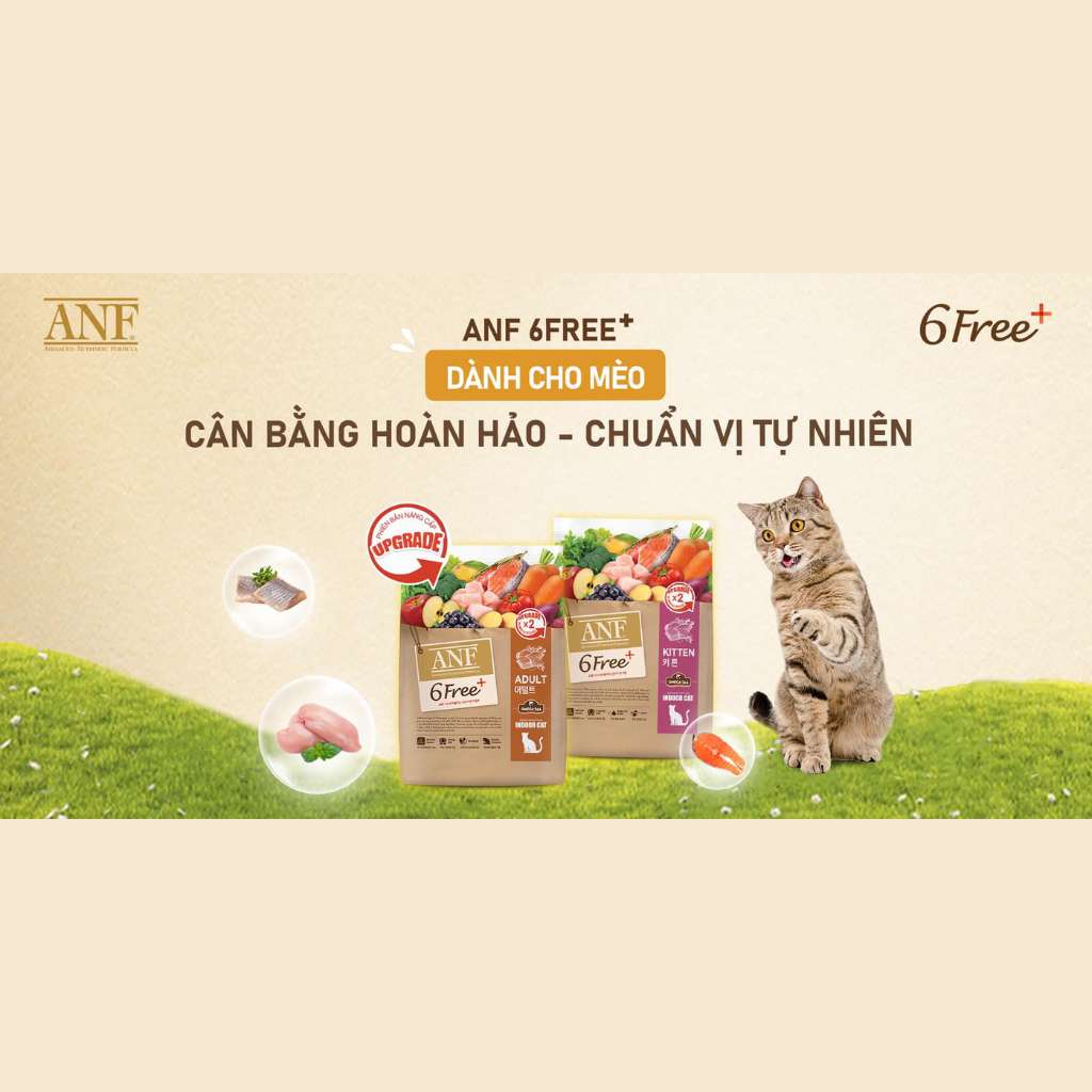 [1.6KG - 5.6KG] Hạt Anf 6Free+ Cao Cấp Mèo