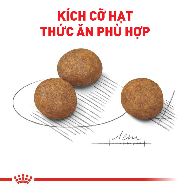 [1KG-4KG] Hạt Royal Canin Maxi Chó