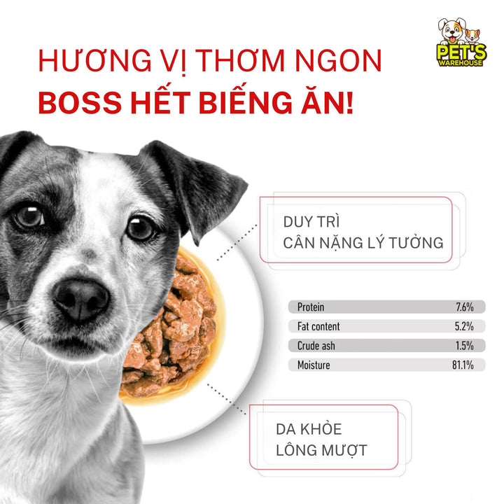 [Combo 3 - 12 Gói] Pate Royal Canin Cho Chó, Gói 85g