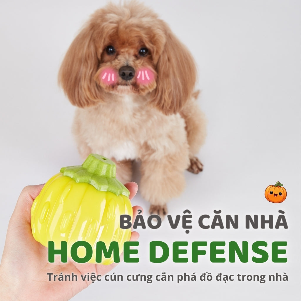 Đồ Chơi Fofos Nhai Gặm Hình Rau Củ Chó