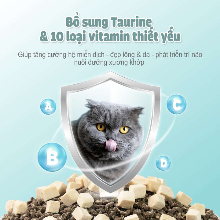 Thức Ăn Hạt Macaron D10, D5 PetQ Cho Mèo, Hộp 1.4Kg ( 7 gói x 200g)