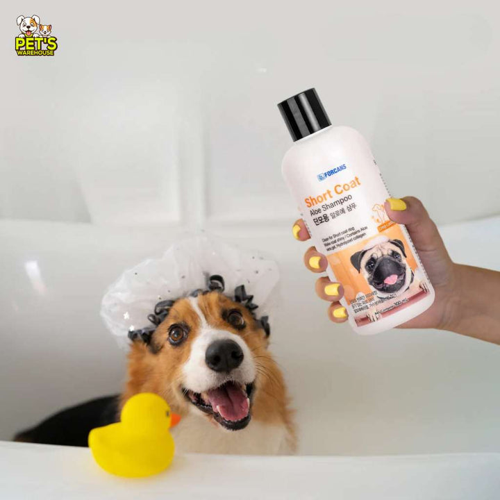 [MINI SIZE 300ML ] Sữa Tắm Forcans Hàn Quốc Chó Mèo