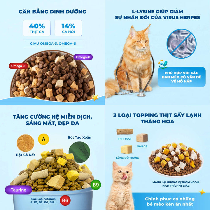 Hạt Mr.Vet Cho Mèo Mọi Lứa Tuổi, Nhiều Loại Theo Nhu Cầu, Túi 1Kg