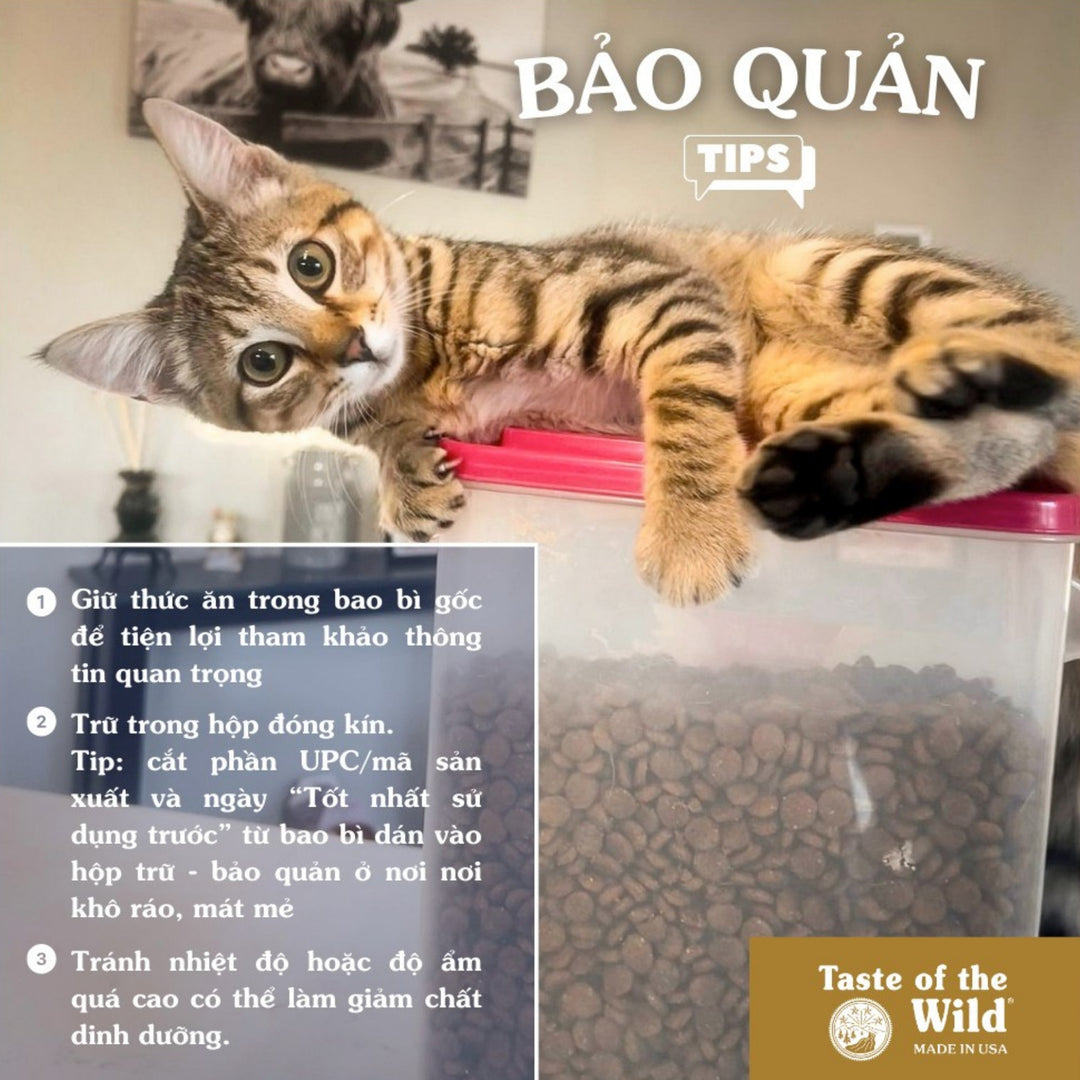 [500G] Hạt Cho Mèo Taste of the Wild Các Loại, Chọn Vị Theo Nhu Cầu Boss
