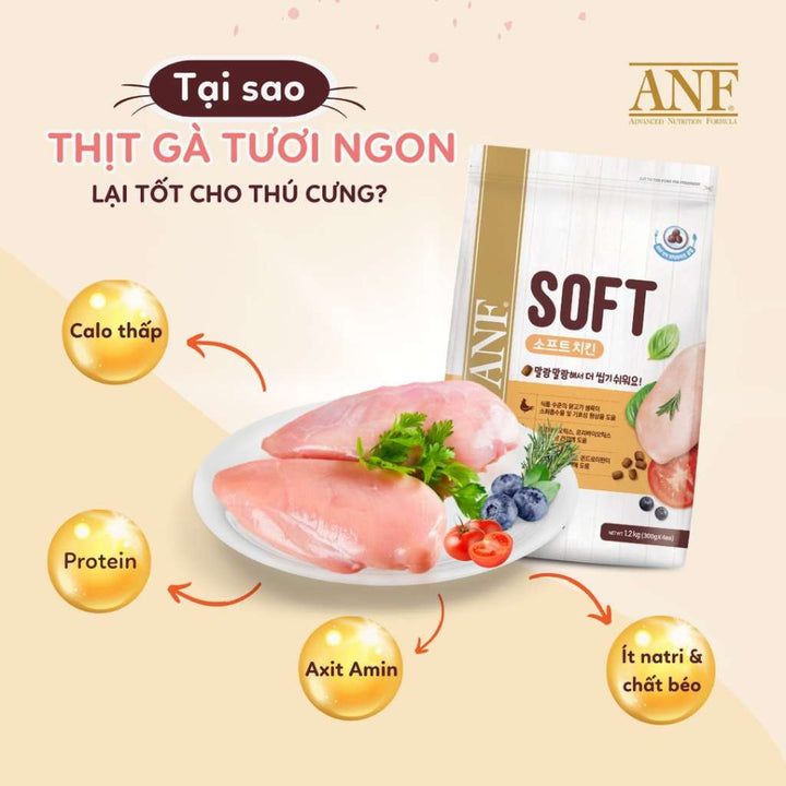 [1.2KG] Hạt Anf Soft Chó Mọi Lứa Tuổi