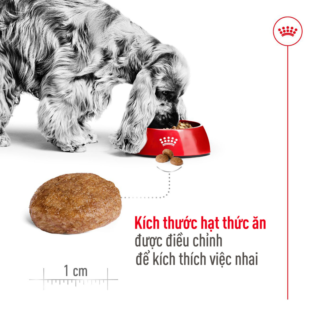 [1KG-4KG] Hạt Royal Canin Medium Chó | Pet's Warehouse