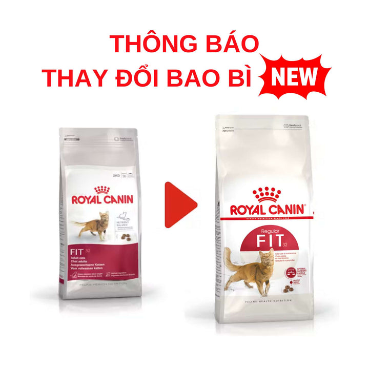 [400G - 2KG] Hạt Royal Canin Mèo Fit 32