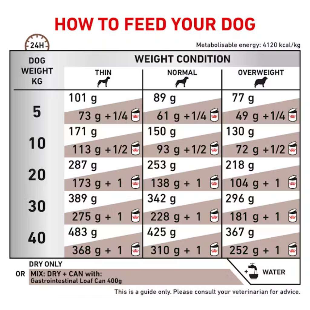 [2KG] Hạt Royal Canin Chó Gastrointestinal