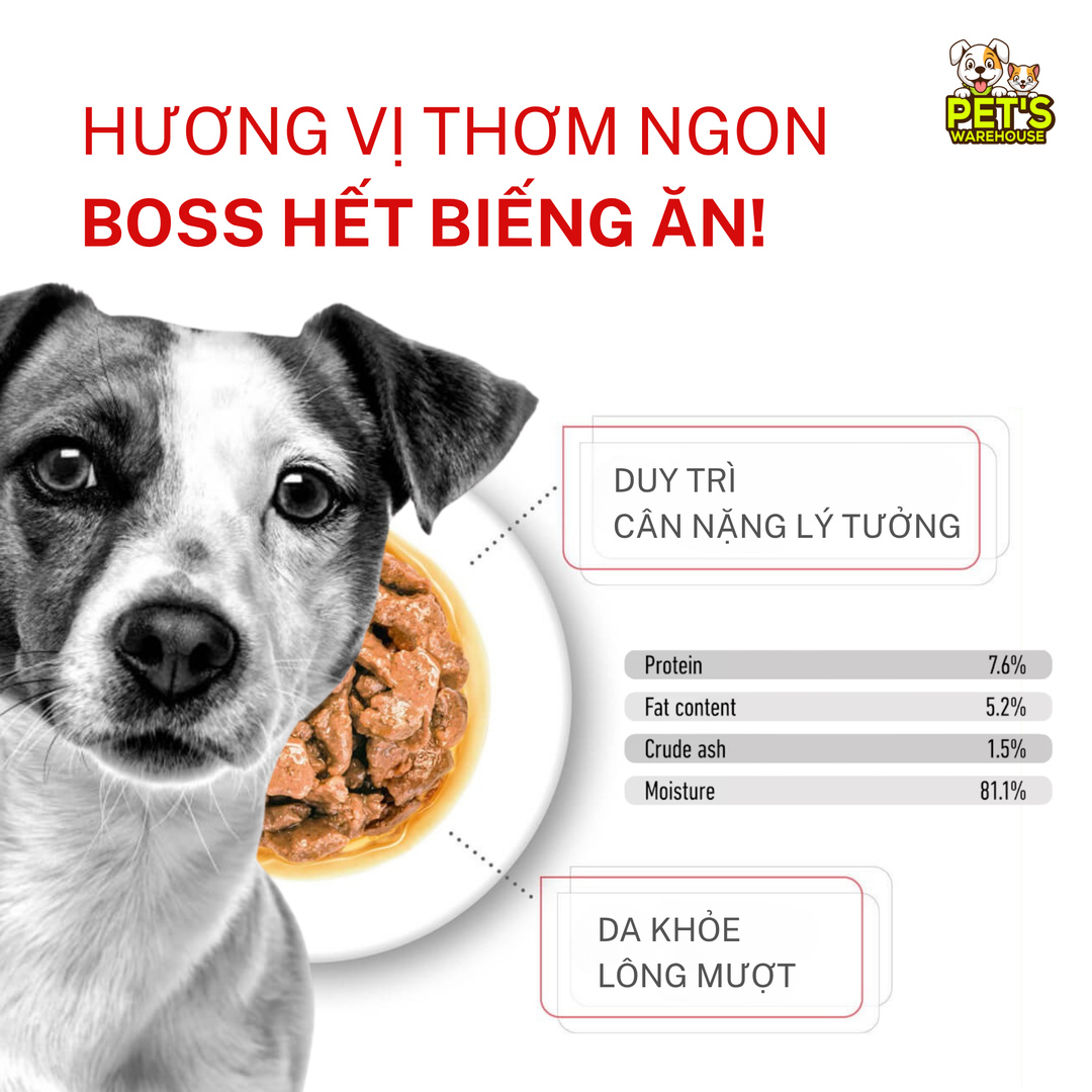 [Combo 3 - 12 Gói] Pate Royal Canin Cho Chó, Gói 85g