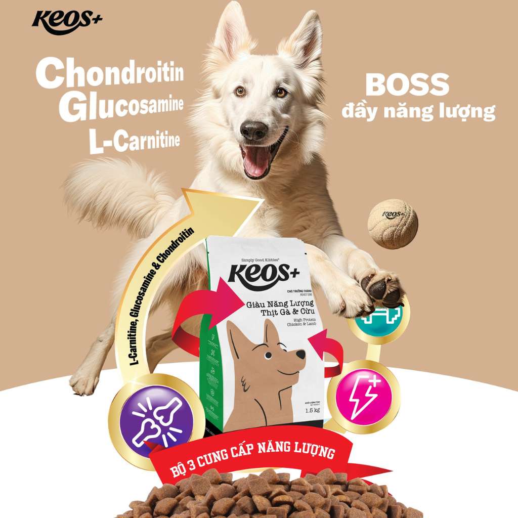 [1.5KG] Hạt Keos Chó Mọi Lứa Tuổi