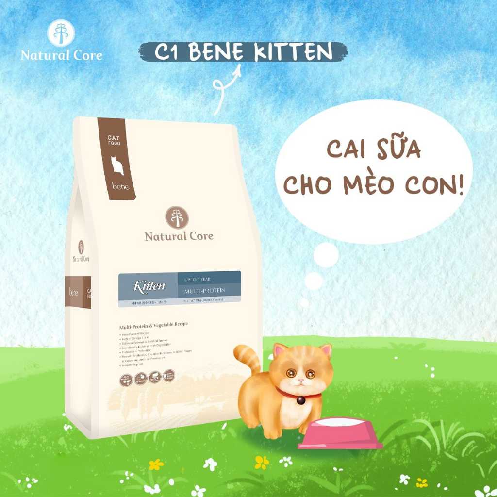 [400G - 2KG] Hạt Hữu Cơ Natural Core Mèo Con