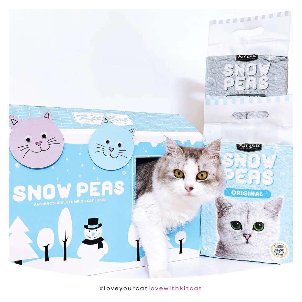 [7L] Cát Đậu Tuyết Snow Peas Kit Cat Mèo