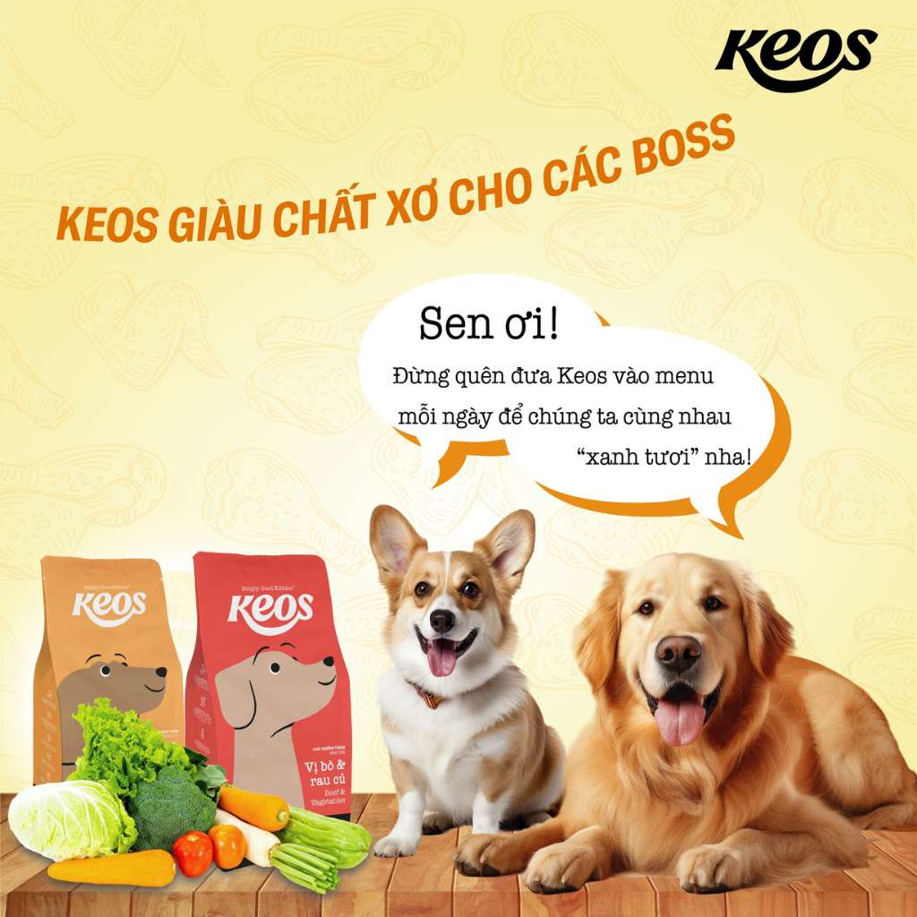 [400G] Hạt Keos Chó Mọi Lứa Tuổi | Pet's Warehouse