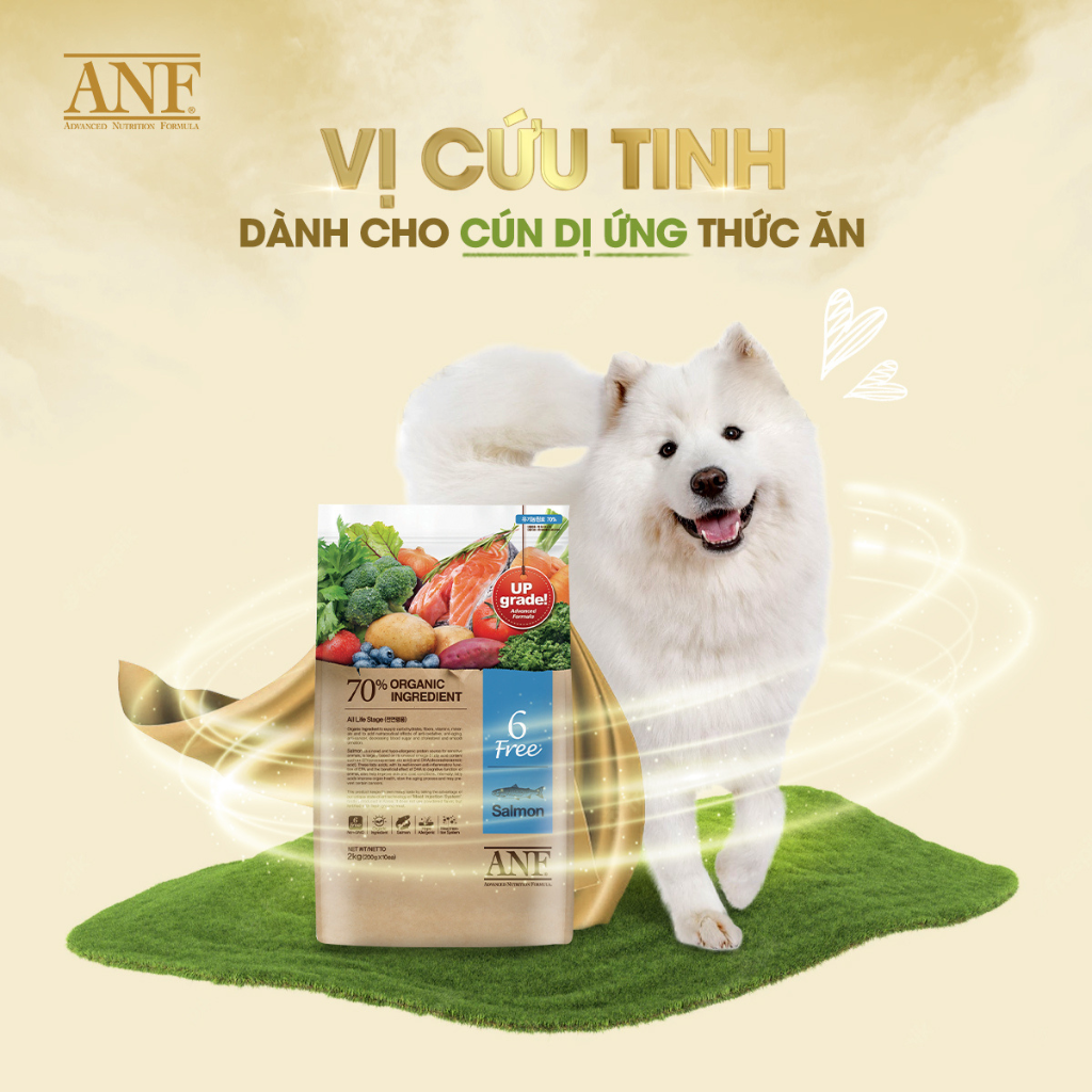 [2KG - 6KG] Hạt Anf 6Free Chó Trên 6 Tháng Tuổi