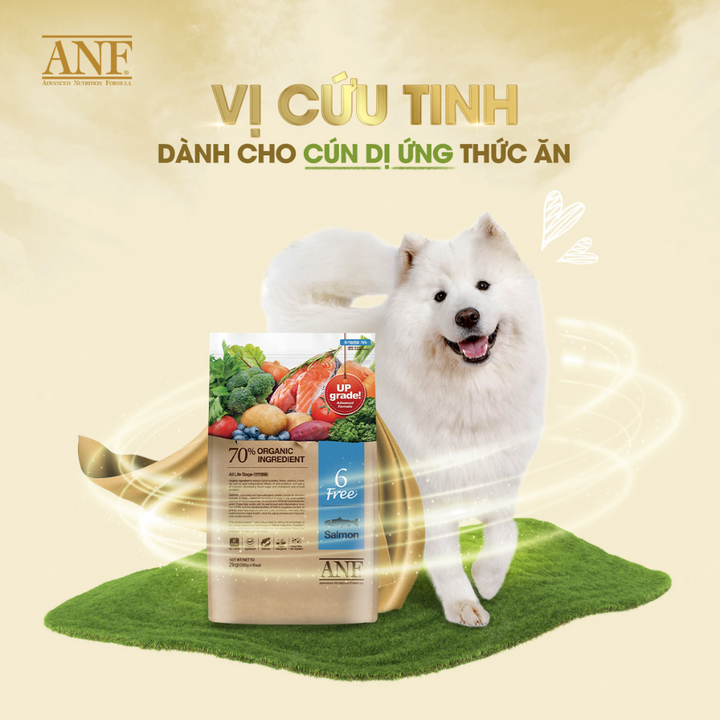 [2KG - 6KG] Hạt Anf 6Free Chó Trên 6 Tháng Tuổi