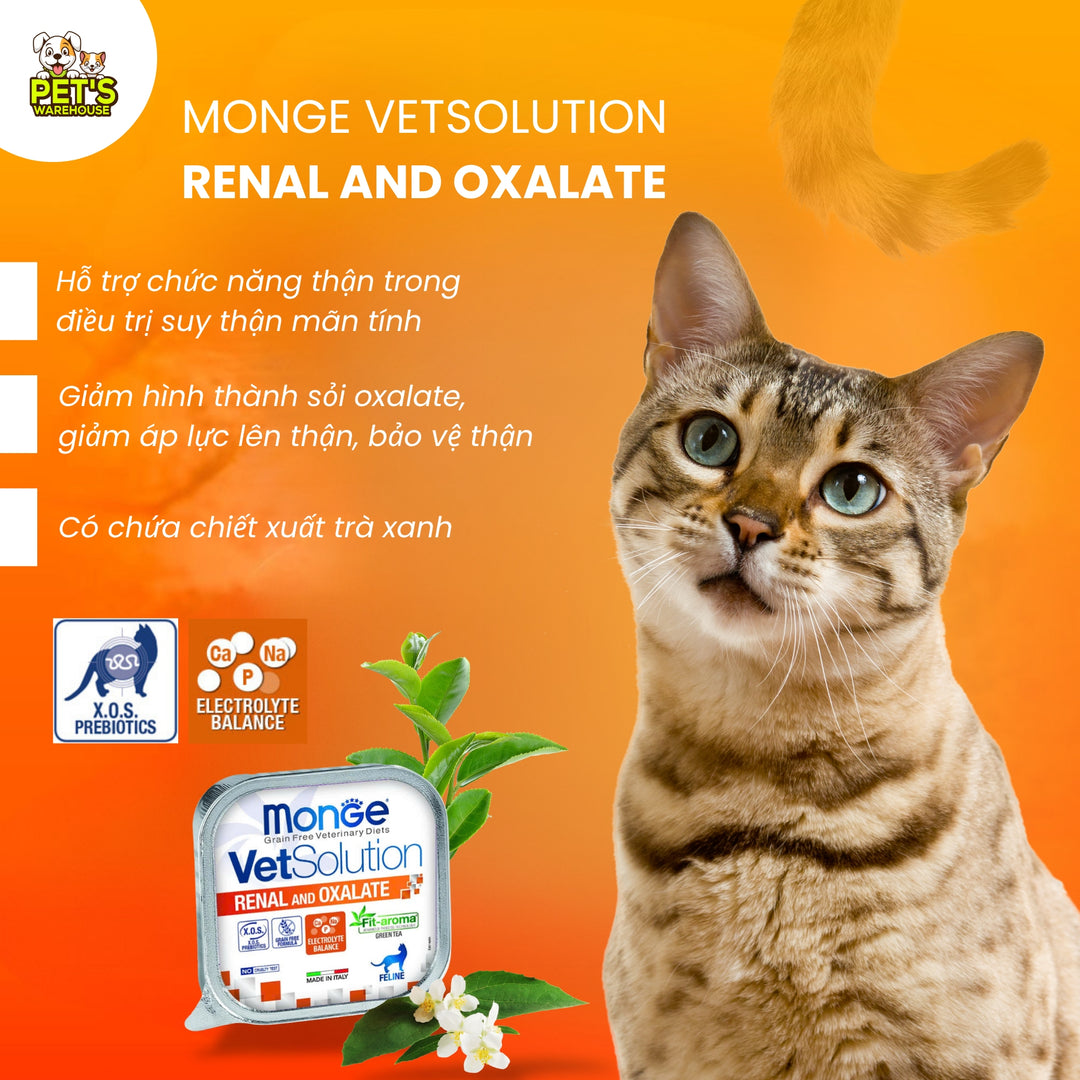 Pate Mèo Monge Vet Solution Hỗ Trợ Chăm Sóc Sức Khỏe, Hộp 100g