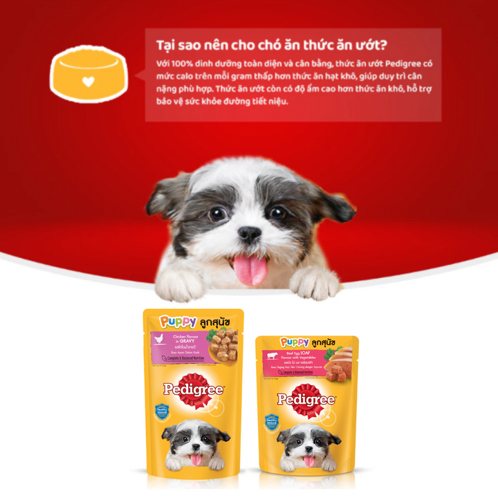 [80G - 130G] Pate Pedigree Chó Mọi Lứa Tuổi