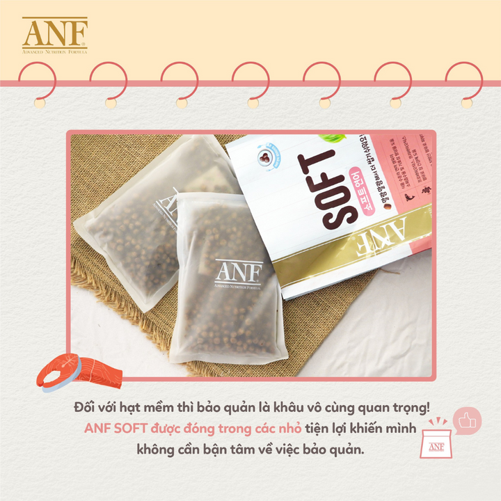 [1.2KG] Hạt Anf Soft Chó Mọi Lứa Tuổi