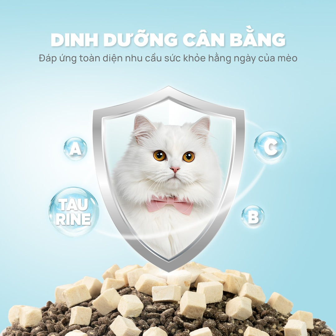 [Combo 5 - 10 gói] Thức Ăn Hạt Donut D90K D90 PetQ Cho Mèo, 200G