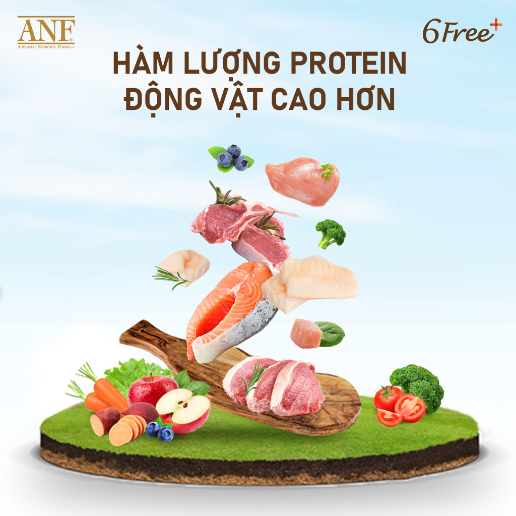 [1.6KG - 5.6KG] Hạt Anf 6Free+ Cao Cấp Chó Mọi Lứa Tuổi