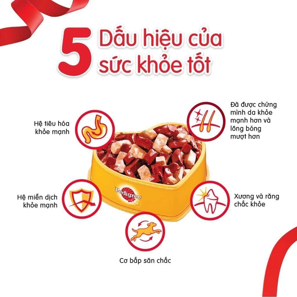 [400G - 2.7KG] Hạt Pedigree Chó Con Trứng Sữa