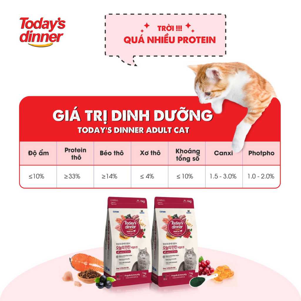[1KG] Hạt Today's Dinner Mèo Mọi Lứa Tuổi