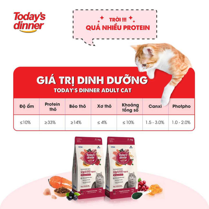 [1KG] Hạt Today's Dinner Mèo Mọi Lứa Tuổi