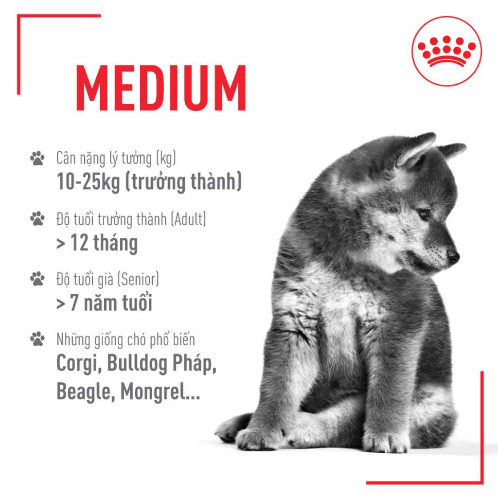 [1KG-4KG] Hạt Royal Canin Medium Chó | Pet's Warehouse