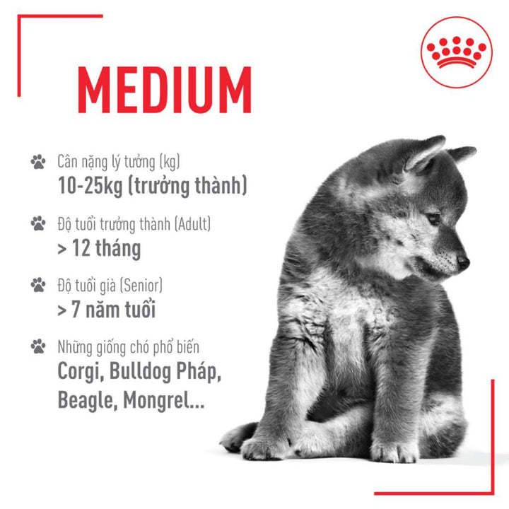 [1KG-4KG] Hạt Royal Canin Medium Chó | Pet's Warehouse