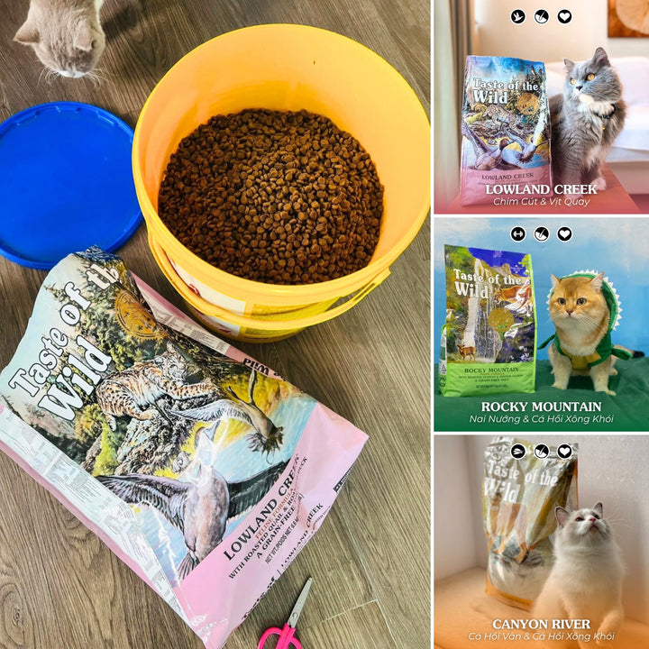 [500G - 2KG] Hạt Cho Mèo Taste of the Wild Các Loại, Chọn Vị Theo Nhu Cầu Boss