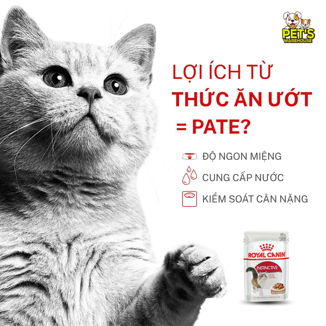 [Combo 3 - 12 Gói] Gói Pate Mèo Trưởng Thành Royal Canin Instinctive Gravy, Gói 85g