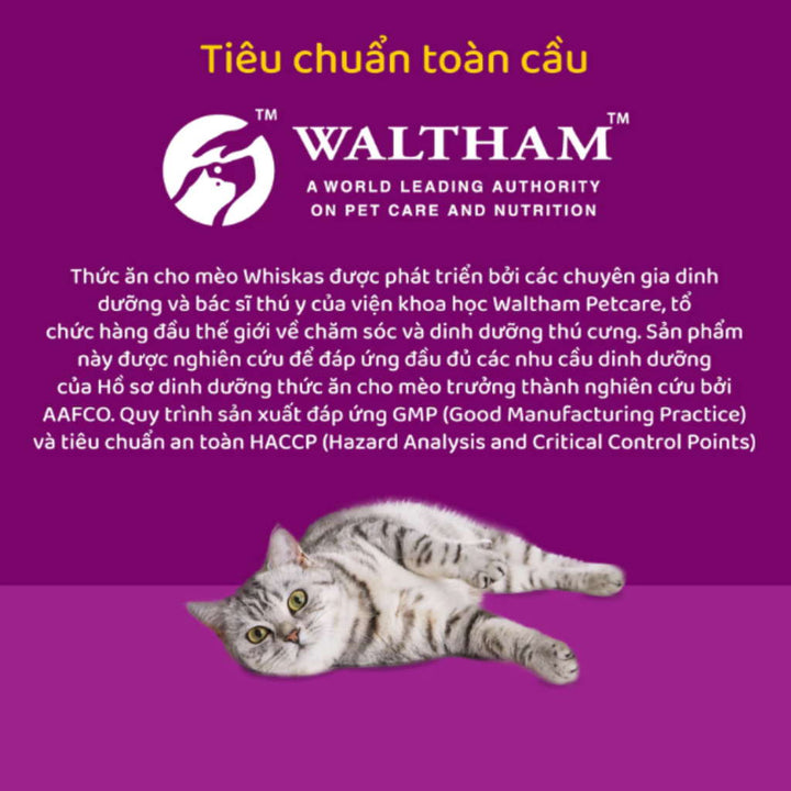 [1.1KG] Hạt Whiskas Mèo Con 2-12 Tháng