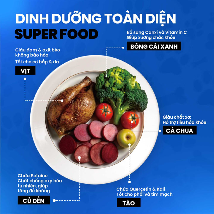 Hạt Dinh Dưỡng Chức Năng Fine Dining Cho Mèo Trưởng Thành, Túi 1.8Kg