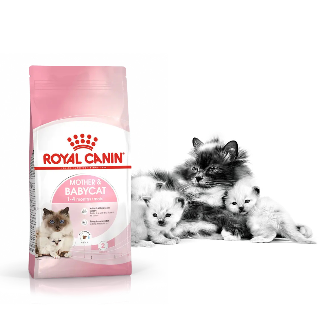 [400G - 2KG] Royal Canin Mother & Baby Cat